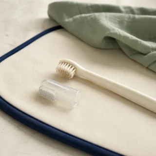 Dog toothbrush and finger brush on a cream mat with navy trim in soft daylight